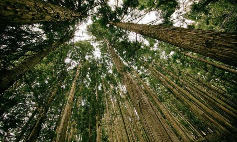 tasty recipe llblogfood