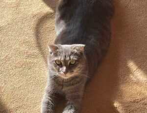 what are culinary treasures tbfoodtravel