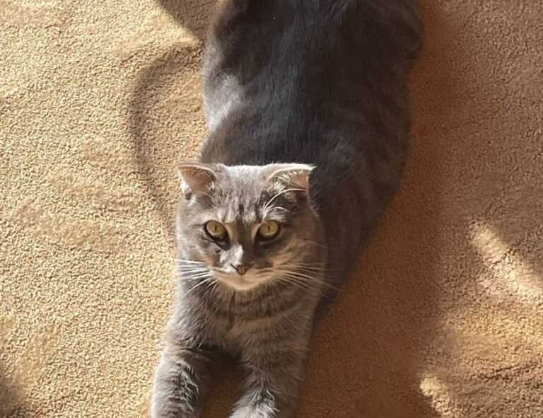 what are culinary treasures tbfoodtravel