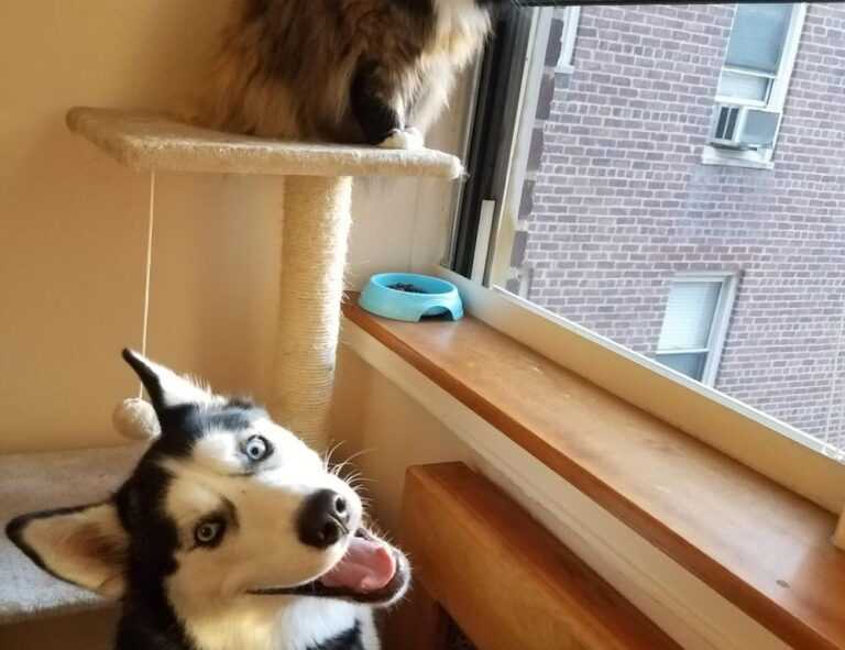 what is food travel tbfoodtravel