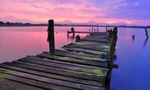 what is supper fhthfoodcult