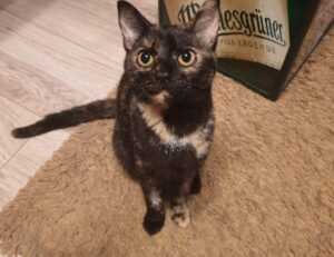 what is the best italian recipe tbfoodtravel