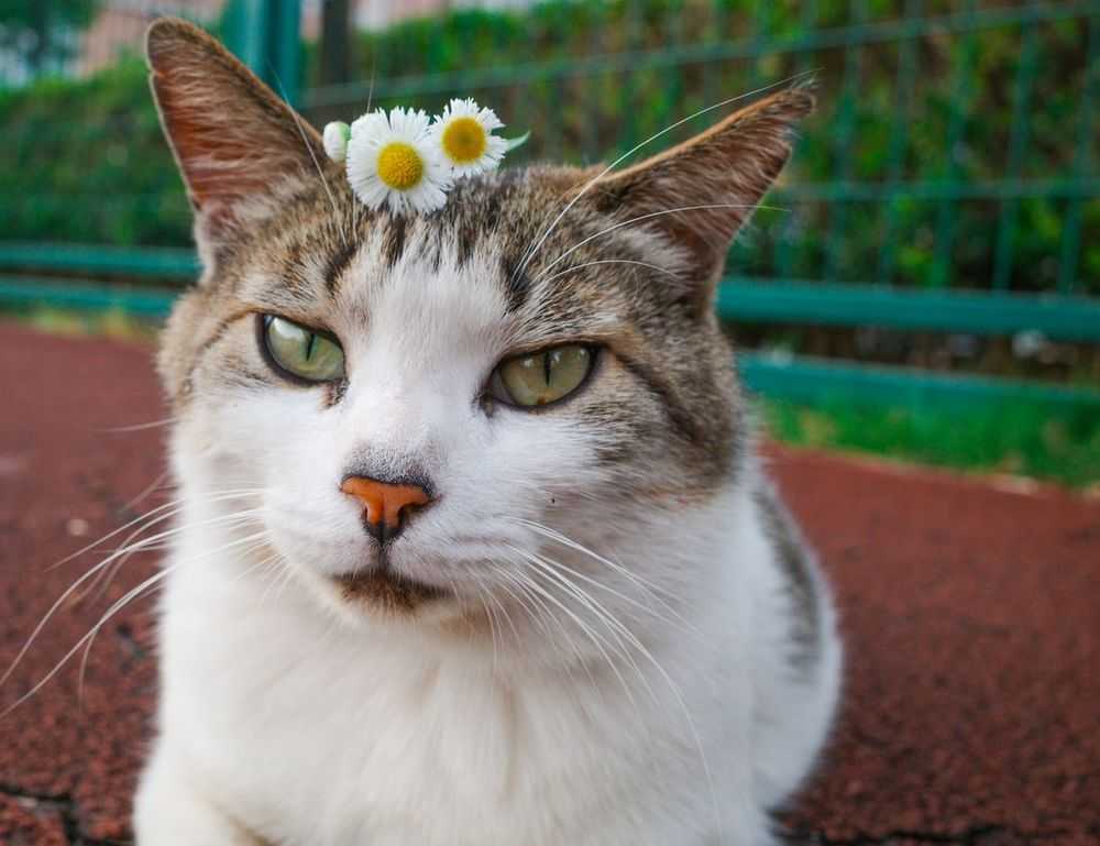 what makes a recipe nutritious fhthblog