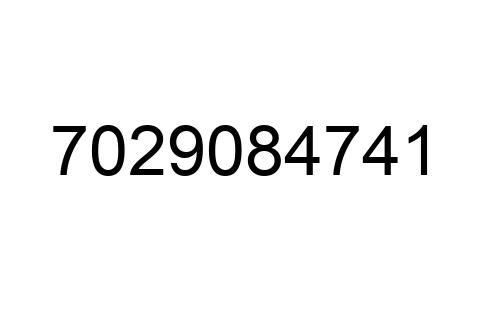 7029084741