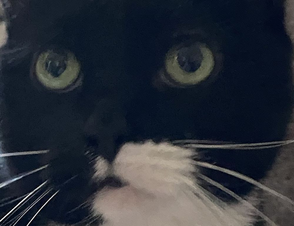 aesthetics brown instagram highlight icons