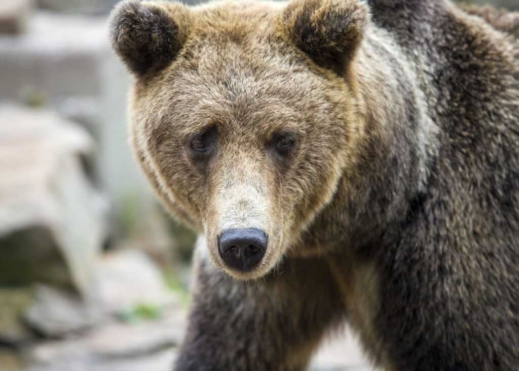 cute girly_m 3 best friends