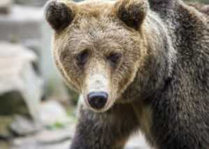 cute girly_m 3 best friends