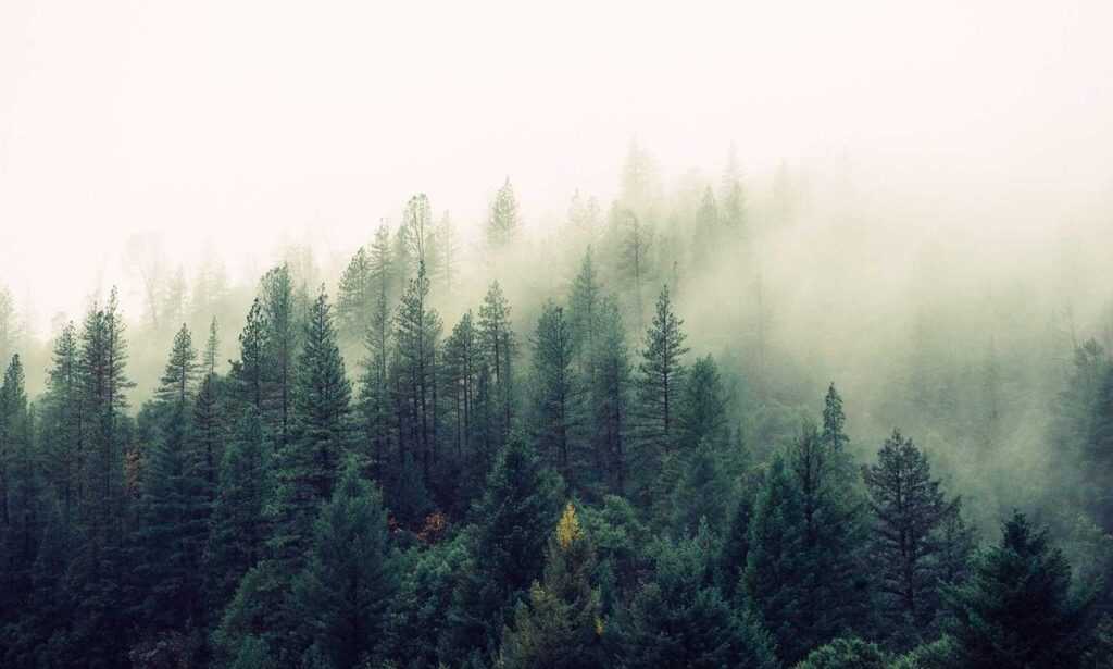 leo movie download isaimini