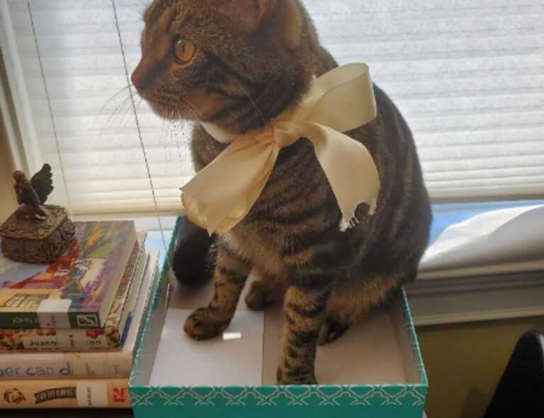 memes del grinch para whatsapp