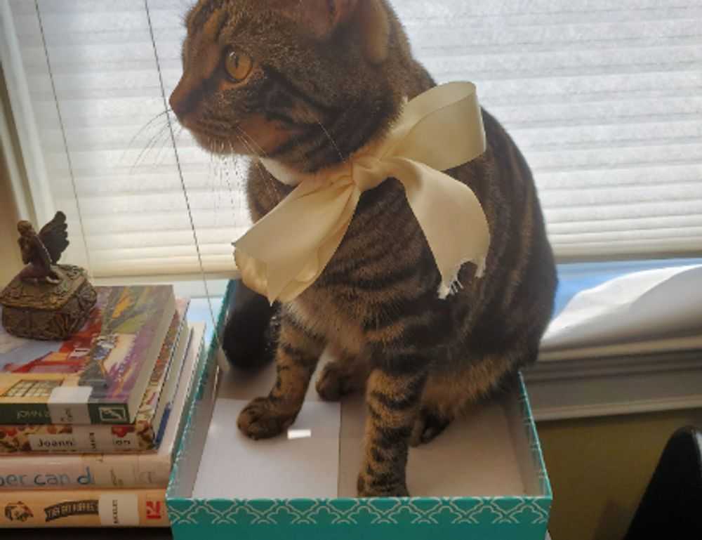 memes del grinch para whatsapp