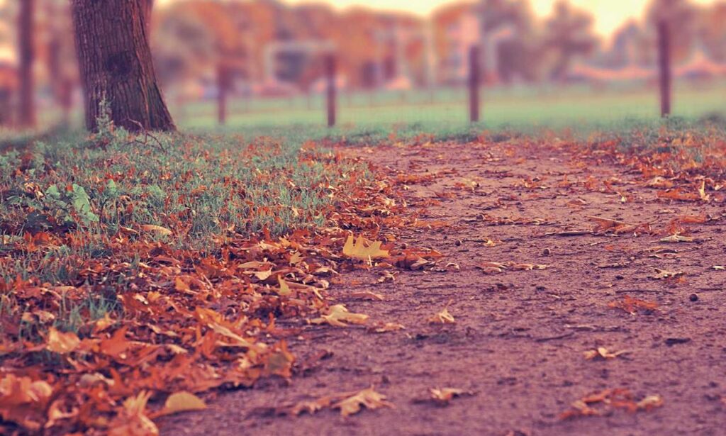 pipi kanan bergerak dalam islam