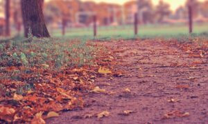 pipi kanan bergerak dalam islam