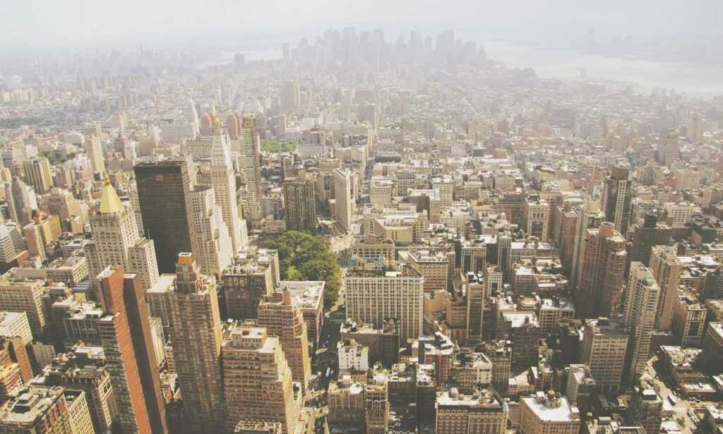 sidra hassouna image