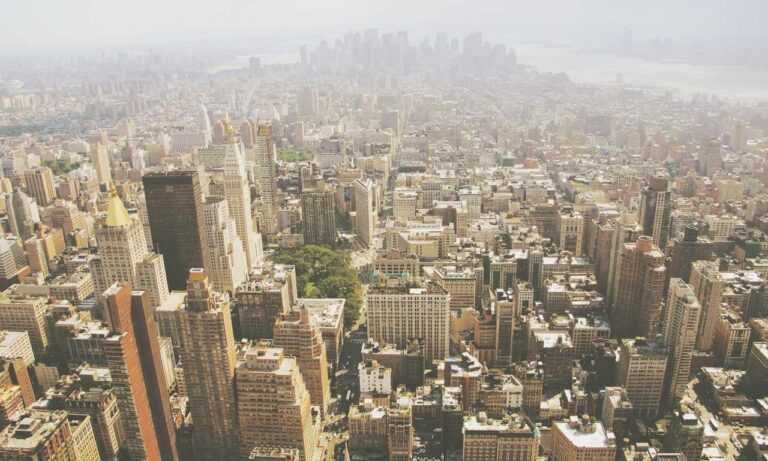 sidra hassouna image