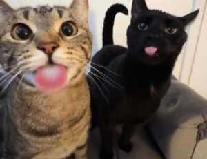 tatuaje calavera espalda hombre