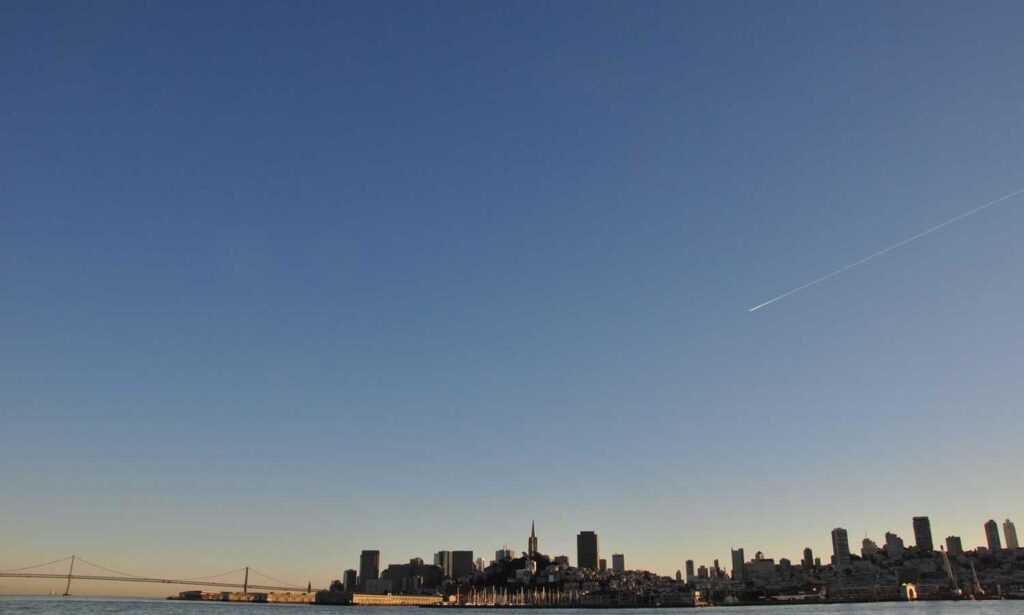 tatuajes de calas significado