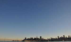 tatuajes de calas significado