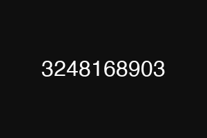 3248168903
