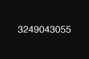 3249043055