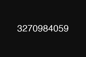 3270984059