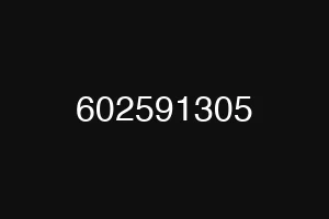 602591305