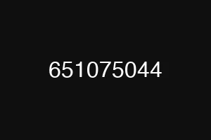 651075044