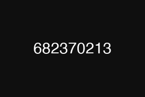 682370213