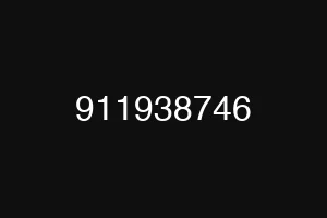 911938746