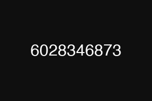 6028346873
