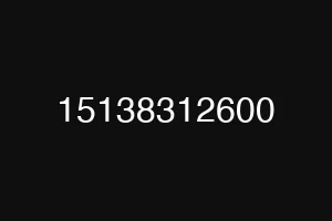 15138312600