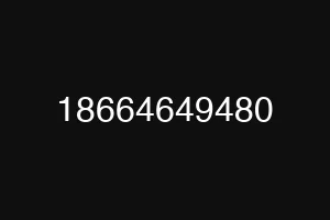 18664649480