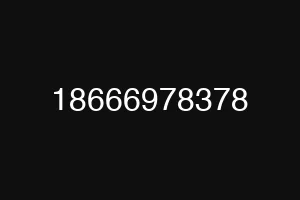 18666978378