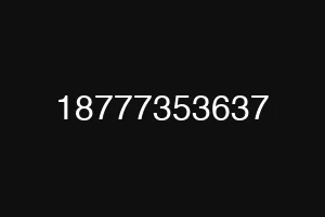 18777353637