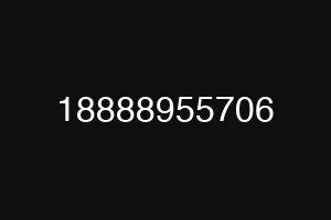 18888955706
