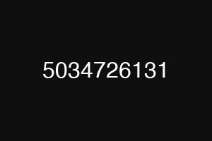 5034726131