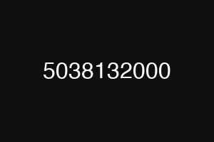 5038132000