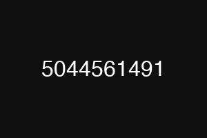 5044561491