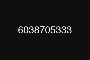 6038705333