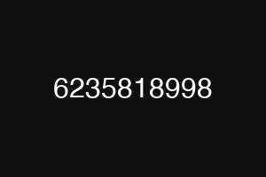 6235818998