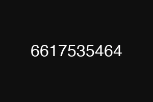 6617535464