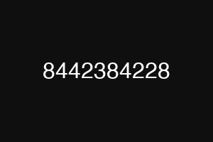 8442384228