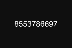 8553786697