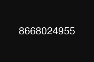 8668024955