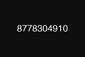 8778304910