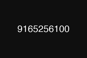 9165256100