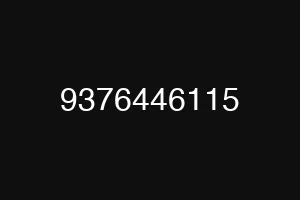 9376446115