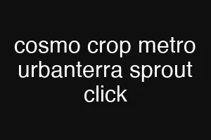 cosmo crop metro urbanterra sprout click